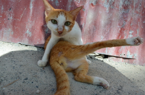 CE1_3931-small.jpg