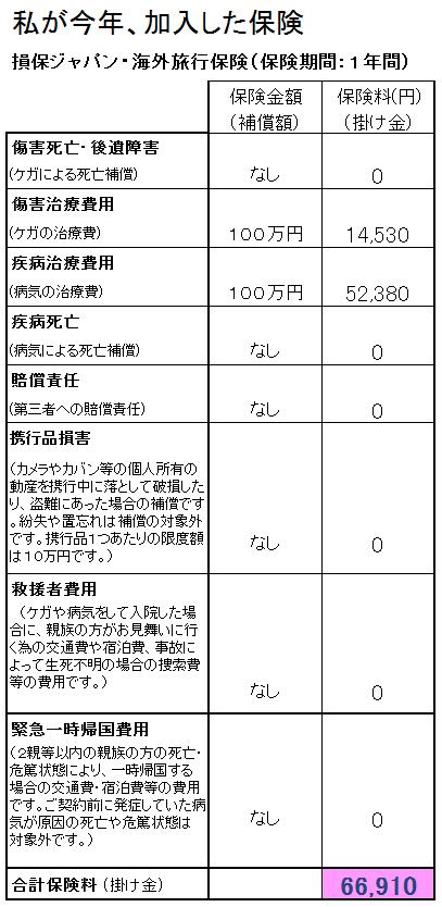 長期フィリピン留学する際の格安保険