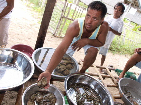 island-hopping-016.jpg