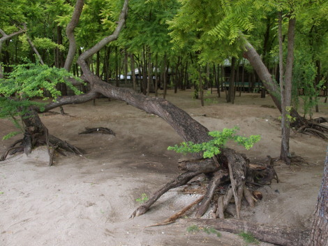 island-hopping-025.jpg
